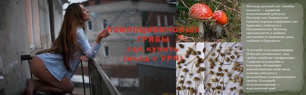 а пвп мука Алексин