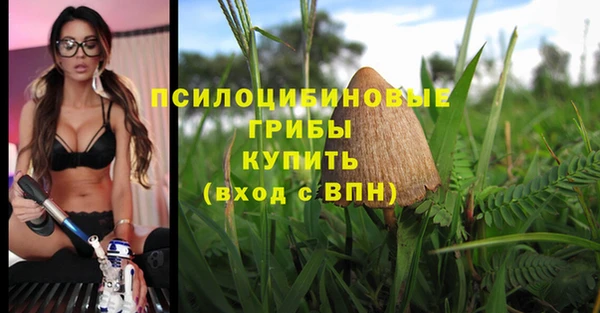 молекула духа Алексеевка