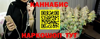 apvp Кингисепп