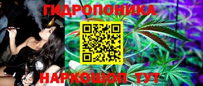 apvp Кингисепп