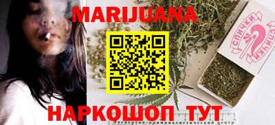 apvp Кингисепп